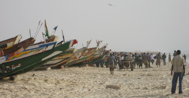 Pirogen in Nouakchott